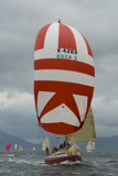stargazer gbr4203 whw12 wed gjmc 2624